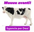 LECCA PIEDI E SGANCIA!